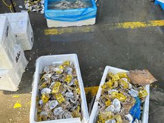 -王四营海鲜市场