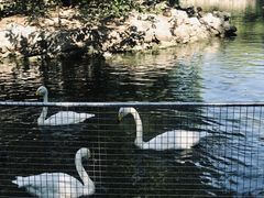 景点-北京动物园