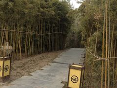 -西安汉城湖景区