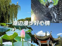 -翠湖公园