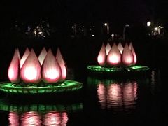 -奥兰多迪士尼动物王国乐园