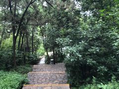 -云龙山