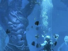 -哈尔滨波塞冬海底世界