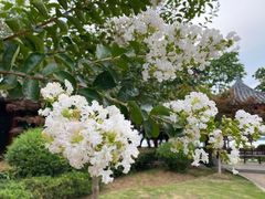 -金银湖国家城市湿地公园
