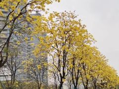-洲头咀公园