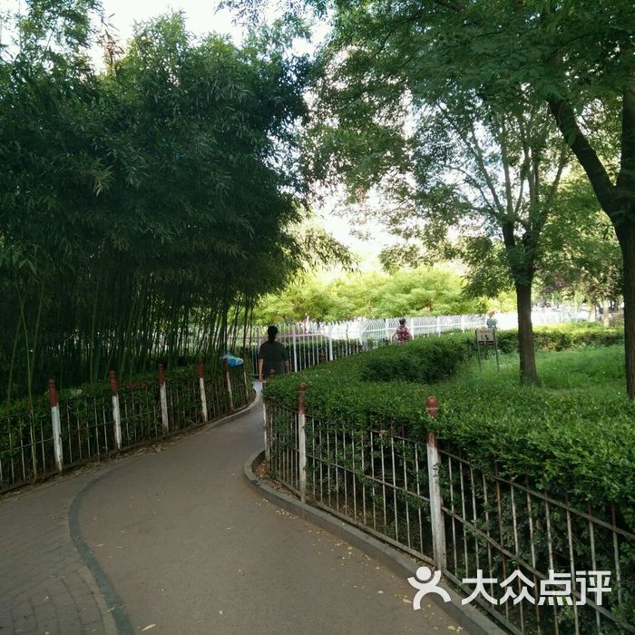 亚运村全民健身园图片-北京公园-大众点评网