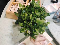 -烹然四季椰子鸡火锅(团结湖总店)
