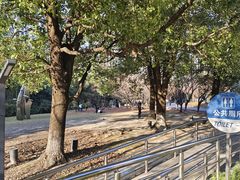 -苏州河梦清园环保主题公园