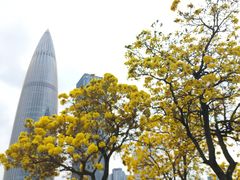 -深圳人才公园