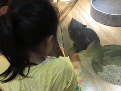 -宠物世家(仲盛世界商城店)