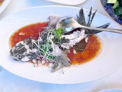 -曼格纳·曼芯馆(杨浦店)