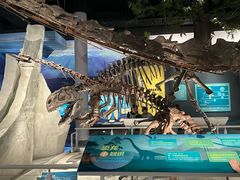 -国家自然博物馆