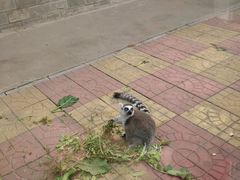 -石家庄市动物园