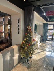 -Z.X HAIR SALON张新美业