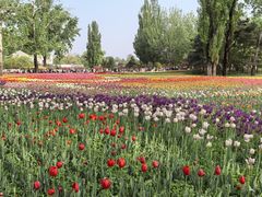 -国家植物园南园