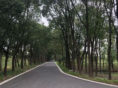 -同里国家湿地公园
