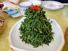清香枸杞苗-国强手抓(北京西路店)