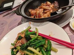 -金汇酒楼(中山东区店)