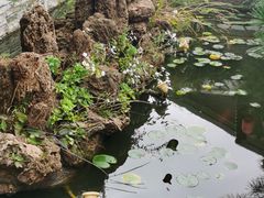 -大连步云山老汤度假山庄