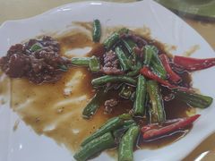 -金孔雀温泉旅游度假村