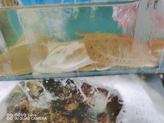 -桔子海鲜烧烤大排档(台东店)