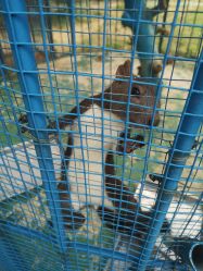 -萌宠亲子动物乐园(槐房万达店)