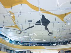 -冠军冰场CHAMPION RINK(苏州中心商场店)