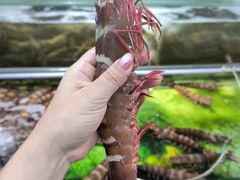 -双天海鲜楼 · 43年老字号