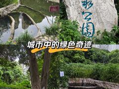 -成都市活水公园