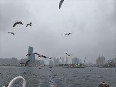 -星海广场