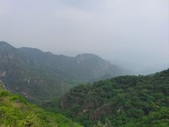 -大岭沟猕猴桃谷风景区