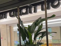 -旺顺阁鱼头泡饼(常营店)