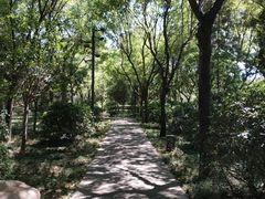 -唐城墙遗址公园