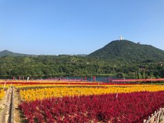 -东部华侨城