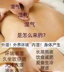 -香薇妮丝·定制减肥·身材管理