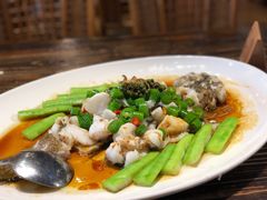 鲜花椒蒸鱼-猪肉婆私房菜(容桂总店)