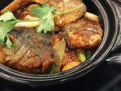 砂锅鱼头煲-草鱼先生潮州鱼生·虾生(新厦花园店)