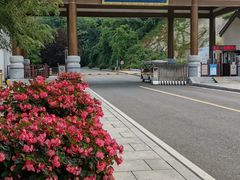 -金龙寺国家森林公园