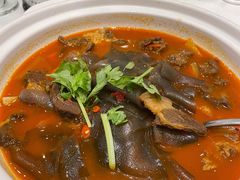 -香浙汇(望京店)