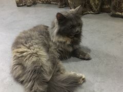 -明日世界密室轰趴·剧本桌游·箭馆团建(国贸店)