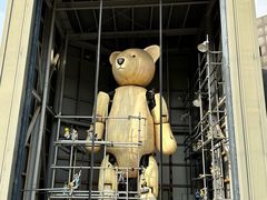 -济州岛泰迪熊博物馆