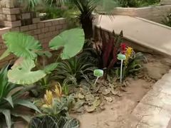 -石家庄市植物园
