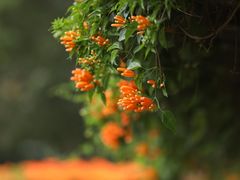 -广州珠江公园