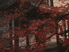 -西湖游船