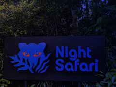 -夜间野生动物园