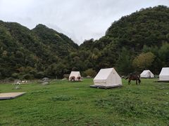 -狮子沟牧场