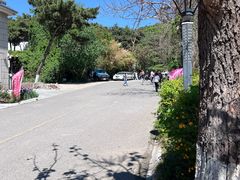 -燕塞湖鸟语林景区