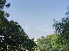 -范蠡湖公园