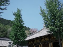 -四门塔风景区