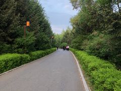 -长春市南湖公园